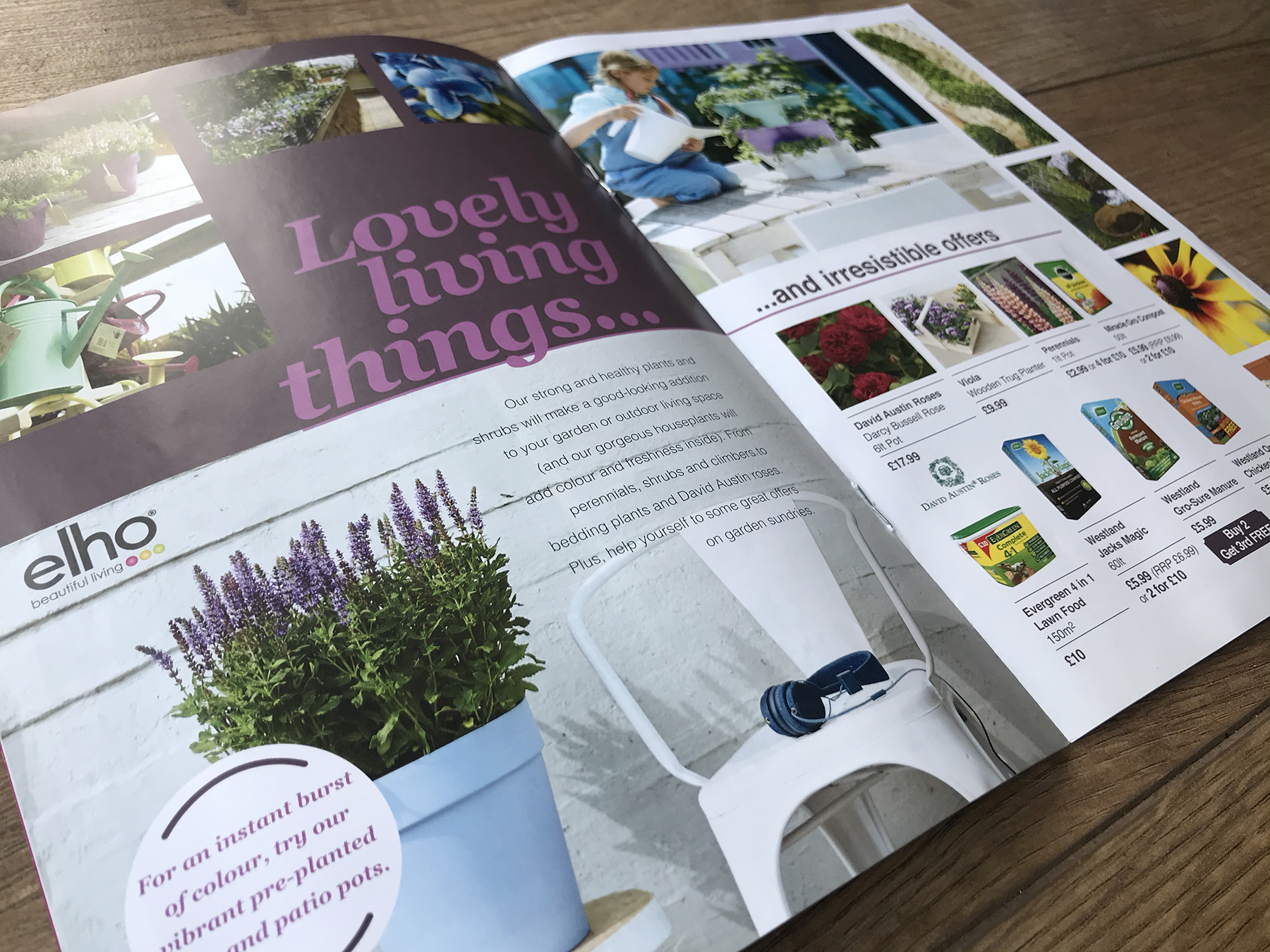 Mailer design for home garden centre in Ribble Valley