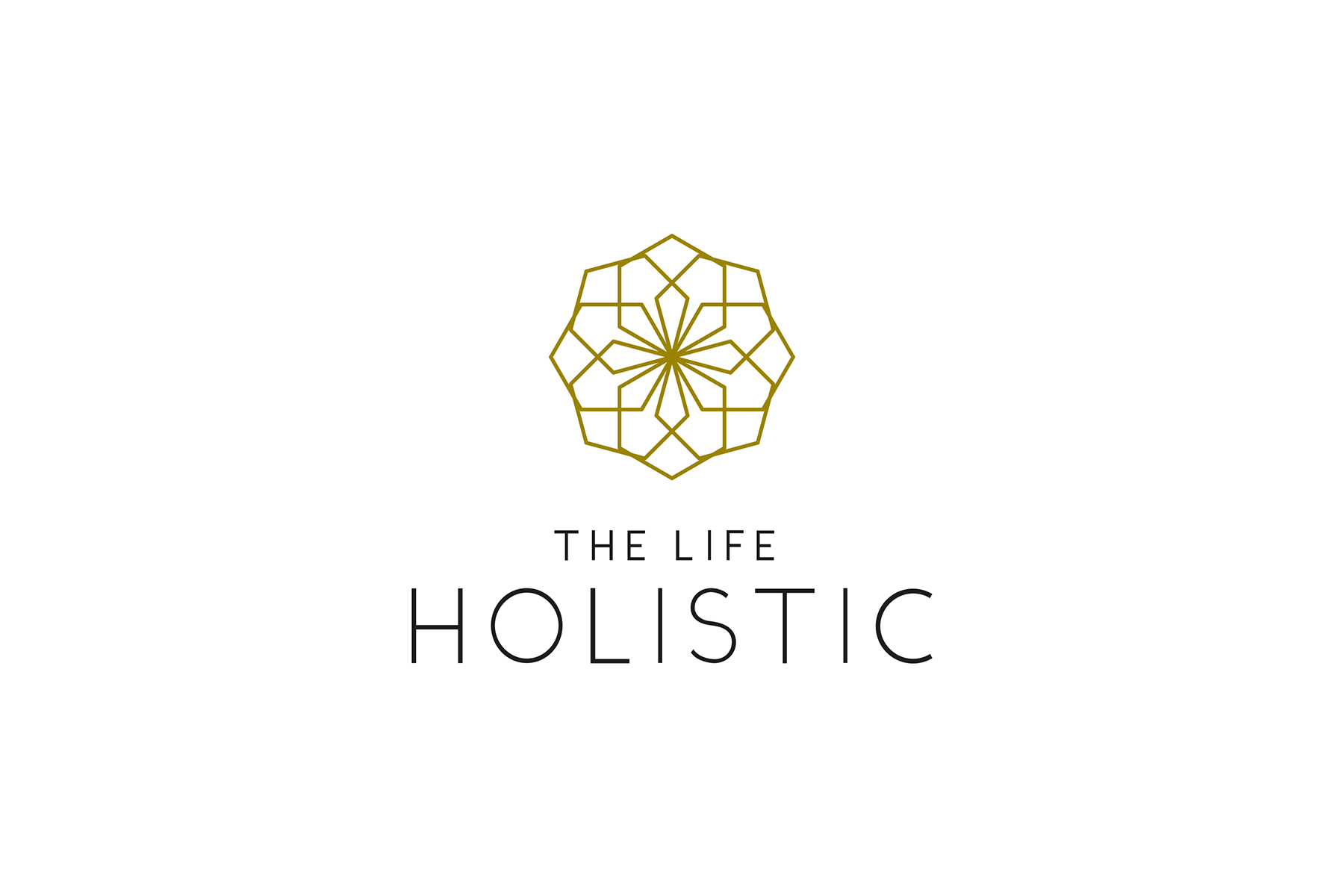 Brand logo for The Life Holistic